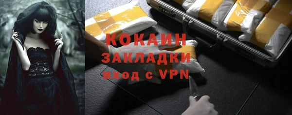 спиды Богородицк