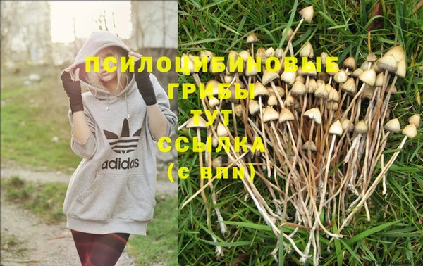 прущая мука Богданович