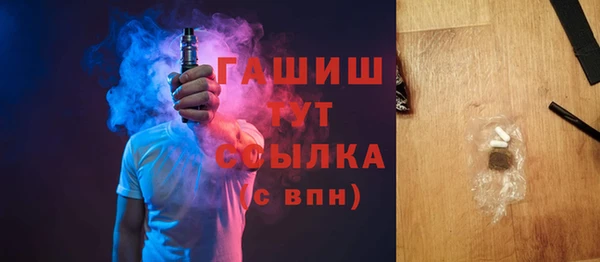 спиды Богородицк