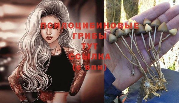 спиды Богородицк