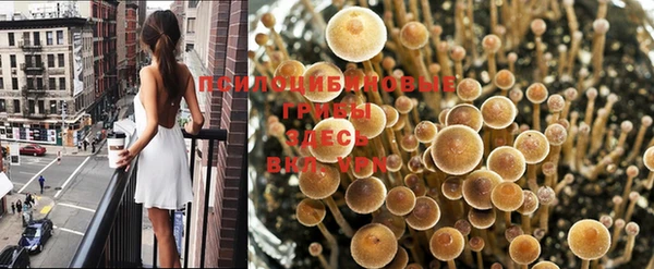 спиды Богородицк