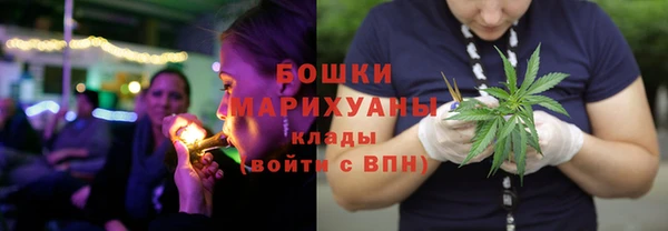 прущая мука Богданович