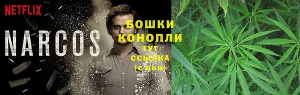 прущая мука Богданович