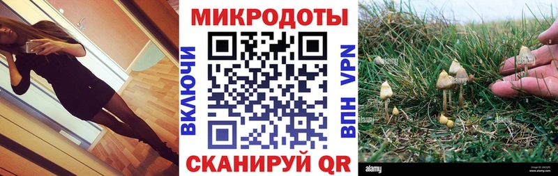 цена   MEGA маркетплейс  Галлюциногенные грибы GOLDEN TEACHER  Малоярославец 