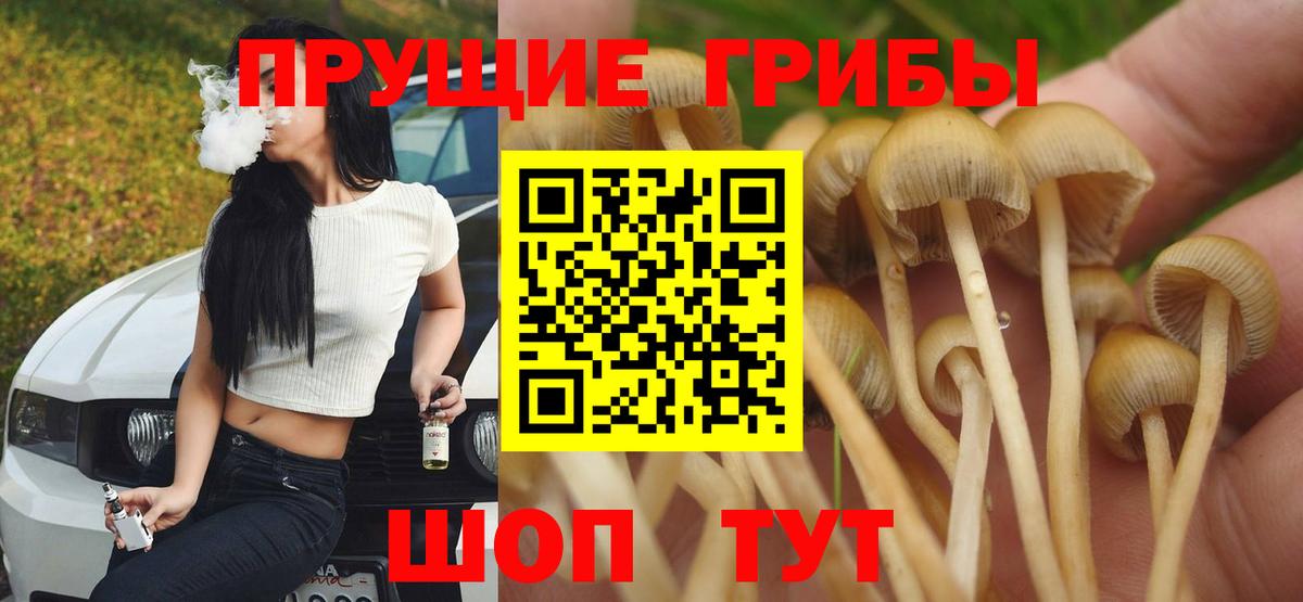 Малоярославец  Галлюциногенные грибы MAGIC MUSHROOMS  Вход с VPN 