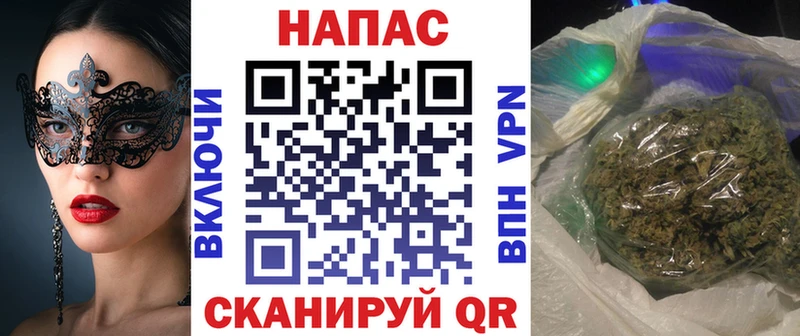 гидра ссылка Малоярославец Конопля ГИДРОПОН